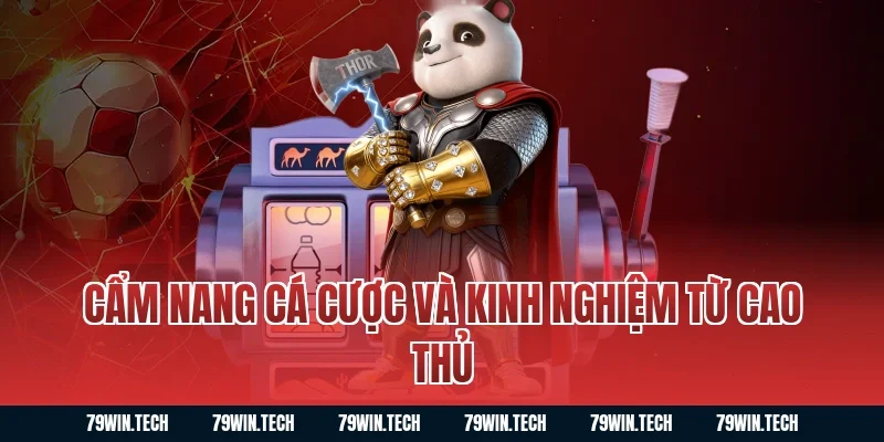 Cẩm Nang Cá Cược Và Kinh Nghiệm Từ Cao Thủ